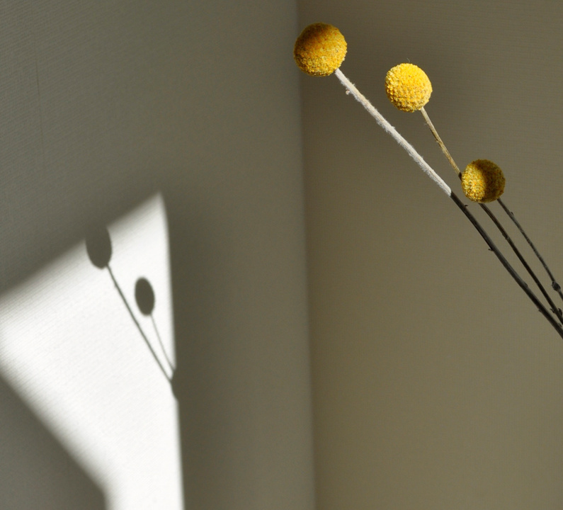 blue quince Order furniture