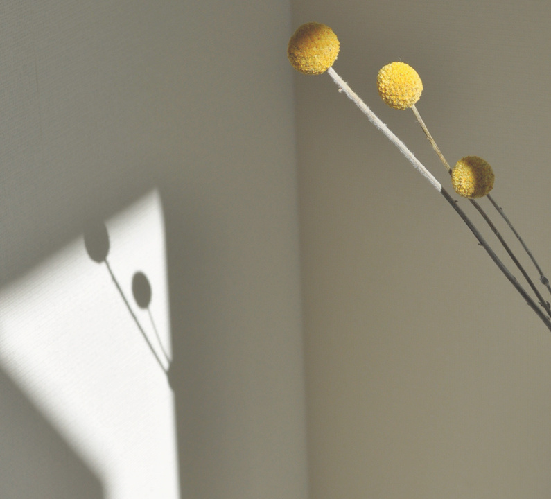 blue quince Order furniture